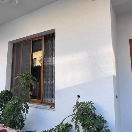 David Guesthouse Шкодер Экстерьер фото