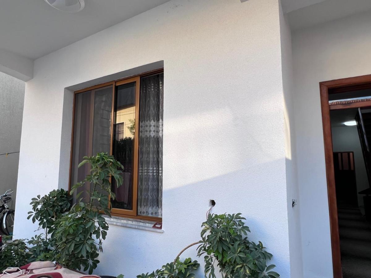 David Guesthouse Шкодер Экстерьер фото